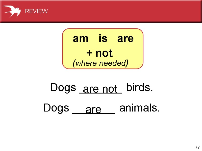 77 Dogs _______ birds. Dogs _______ animals.   are not are am 